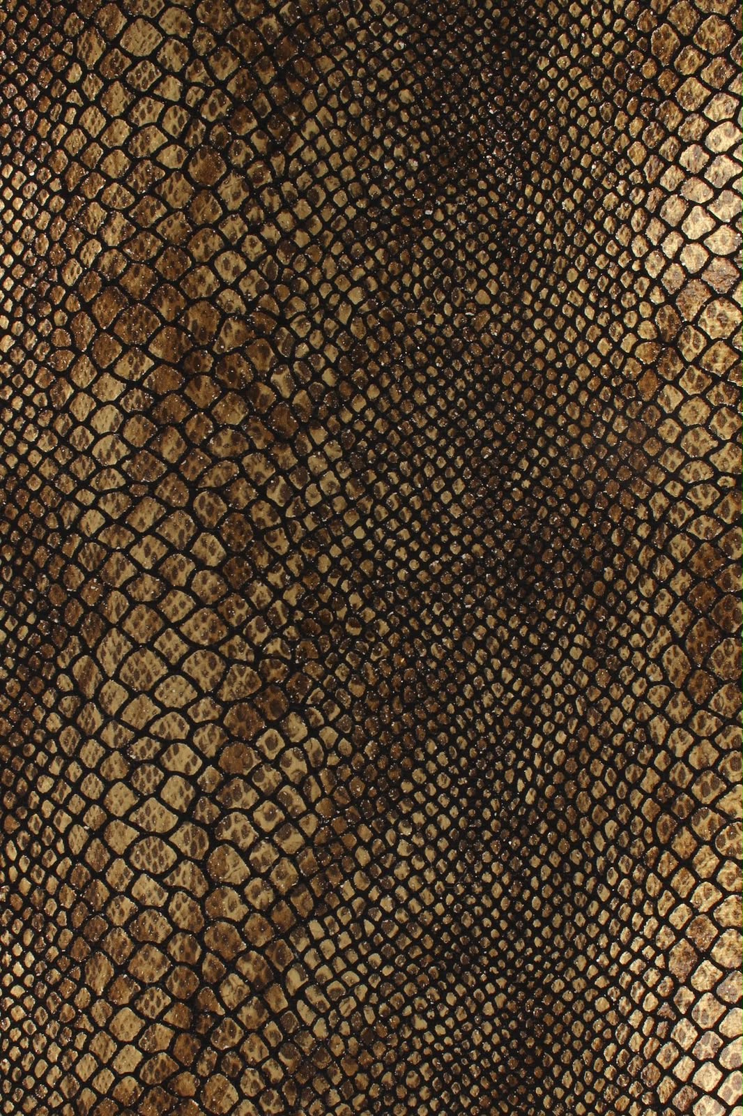 Brown snake skin close-up
