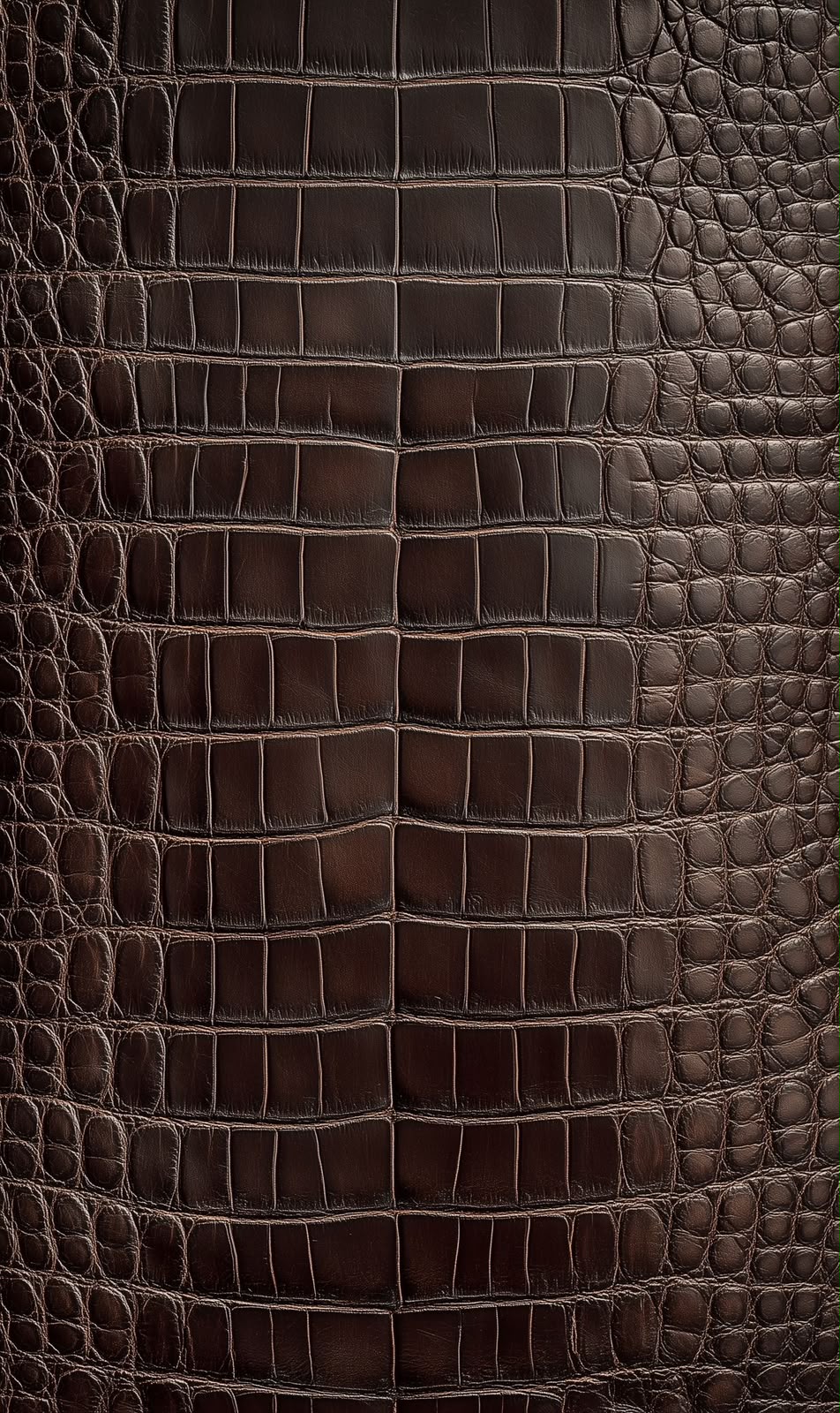Dark brown alligator hide close-up