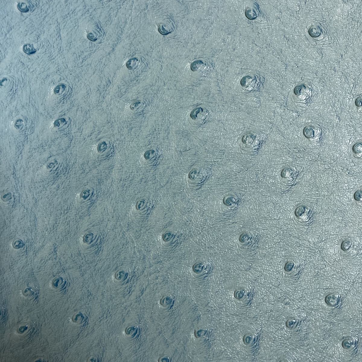 Pale blue ostrich hide close-up