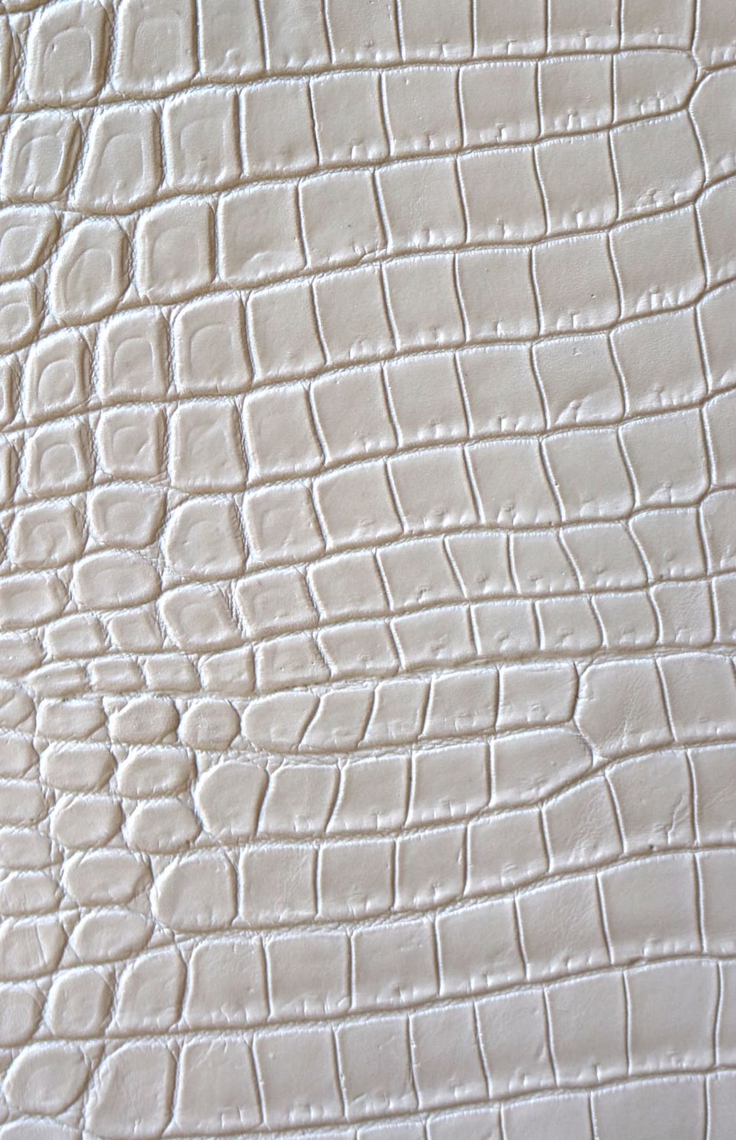 White crocodile hide close-up